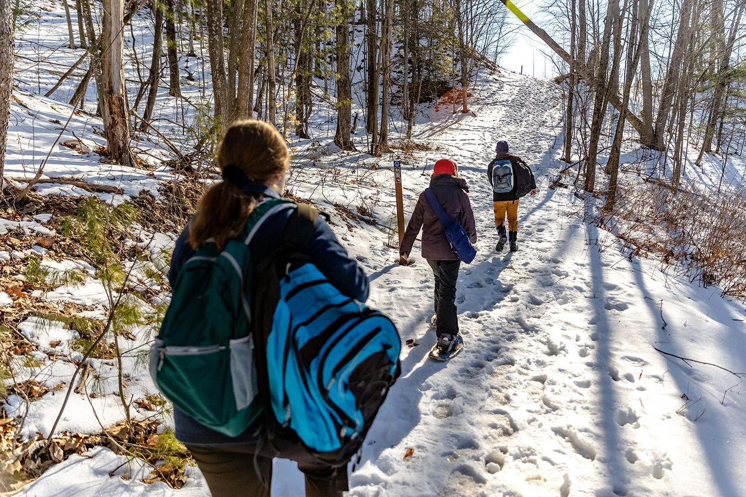 2月11日，学生们在收集完相机后，回到了自然区的一座雪山上. 13.