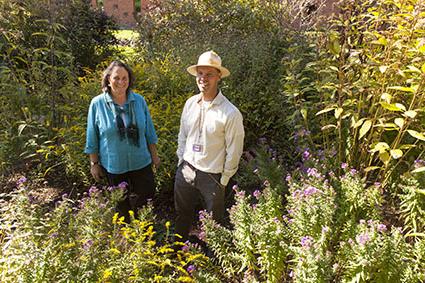 Mark Lubkowitz, left, 和Valerie Bang-Jensen, 早在2013年，他们就在教学花园合作了几年. 标题后面最上面的图片显示了马克几年前和一位合作者研究玉米.