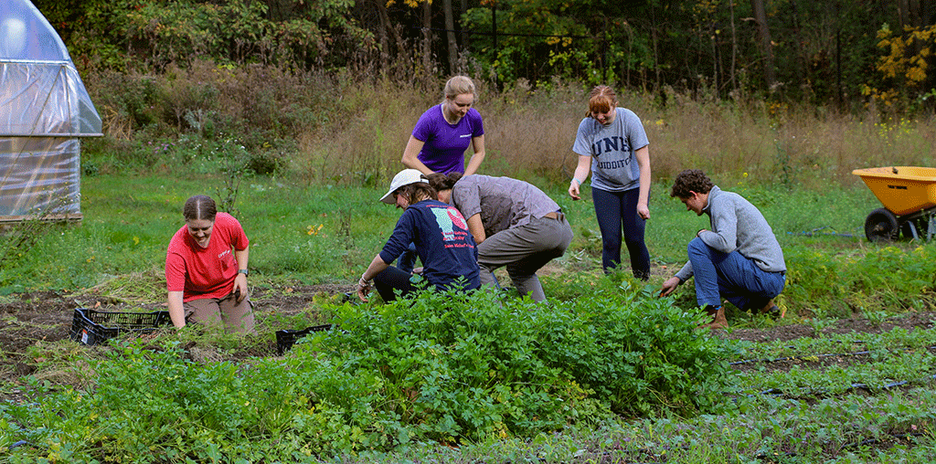 Saint Michael's College students work on the Farm.
