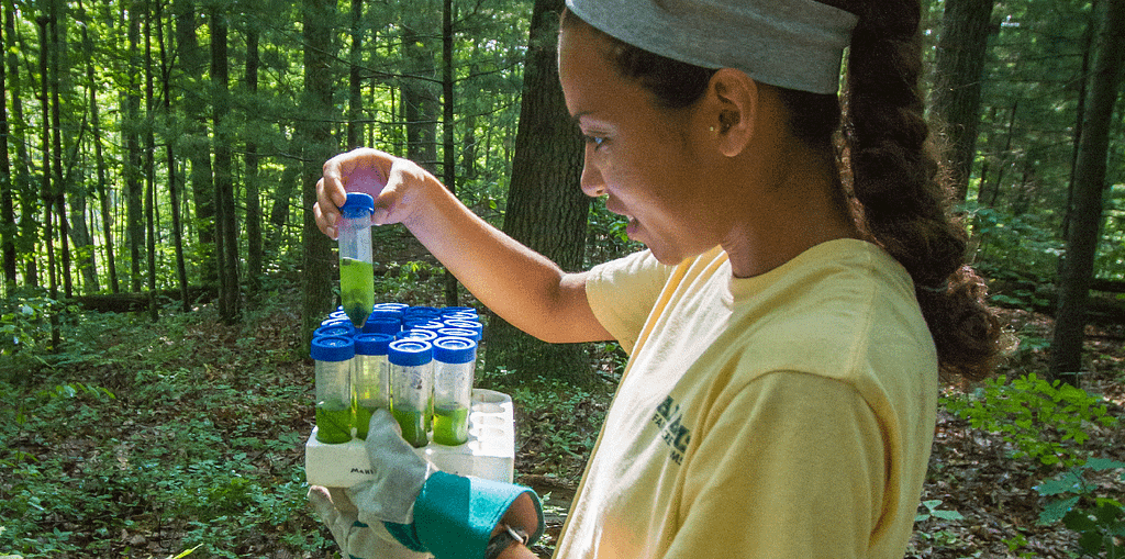 A Saint Michael's College student studies a sample in the College's Natural Area.