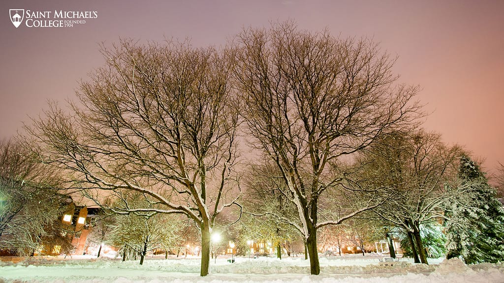 winter trees at Saint Michael's College