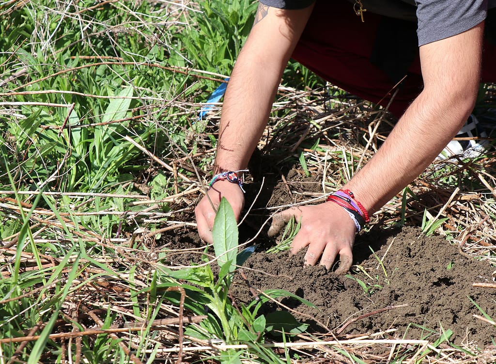 This and other photos show students planting trees in the College Natural Area on Green-Up Day this past Saturday, May 1. (photos by Megan Schneider '22)