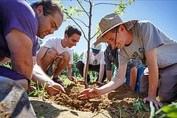 Students planting a tree.