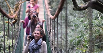 Students take a photo while walking on a bridge during a Study Abroad trip. 