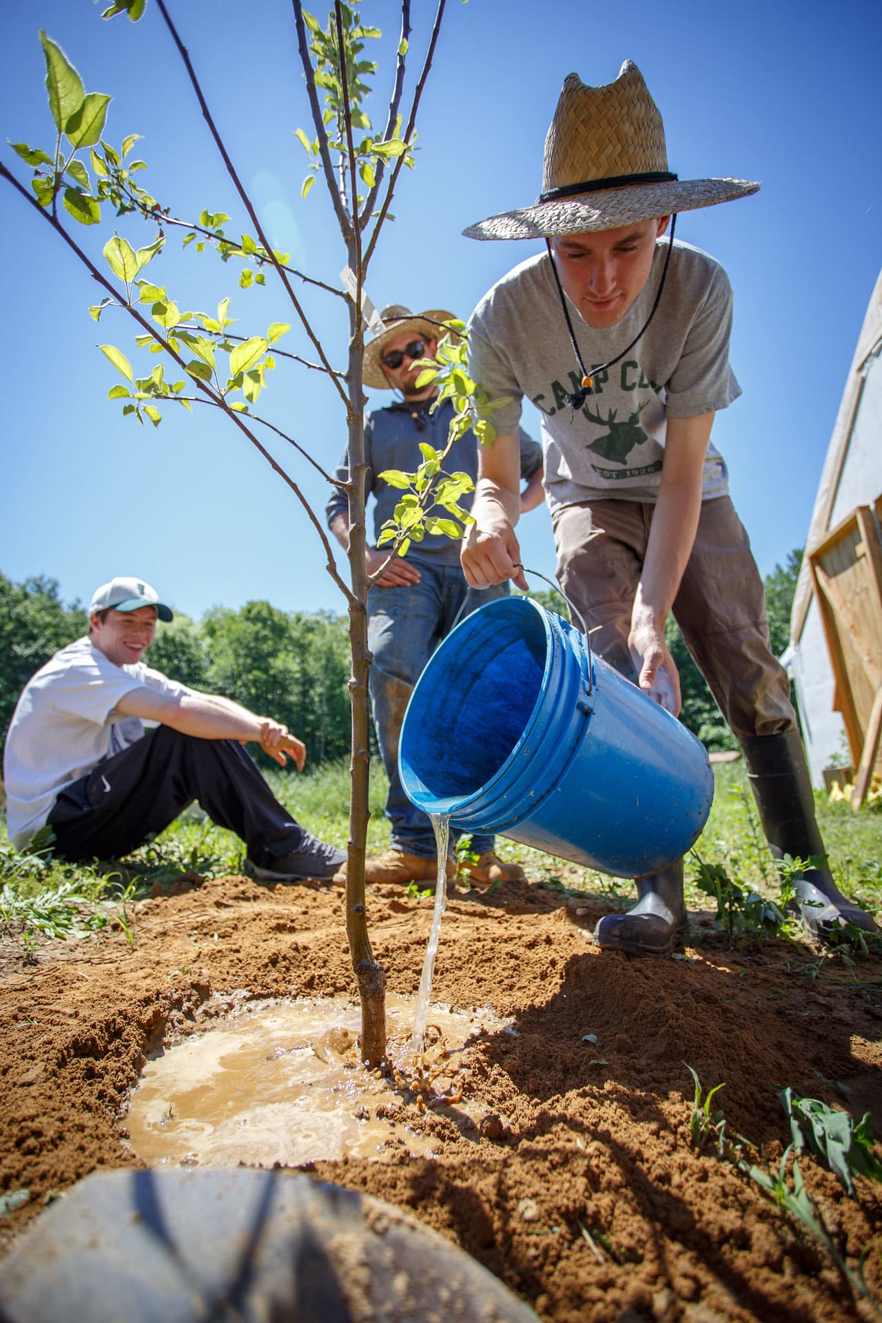 A man waters a tree at the Farm at Saint Michael's College.