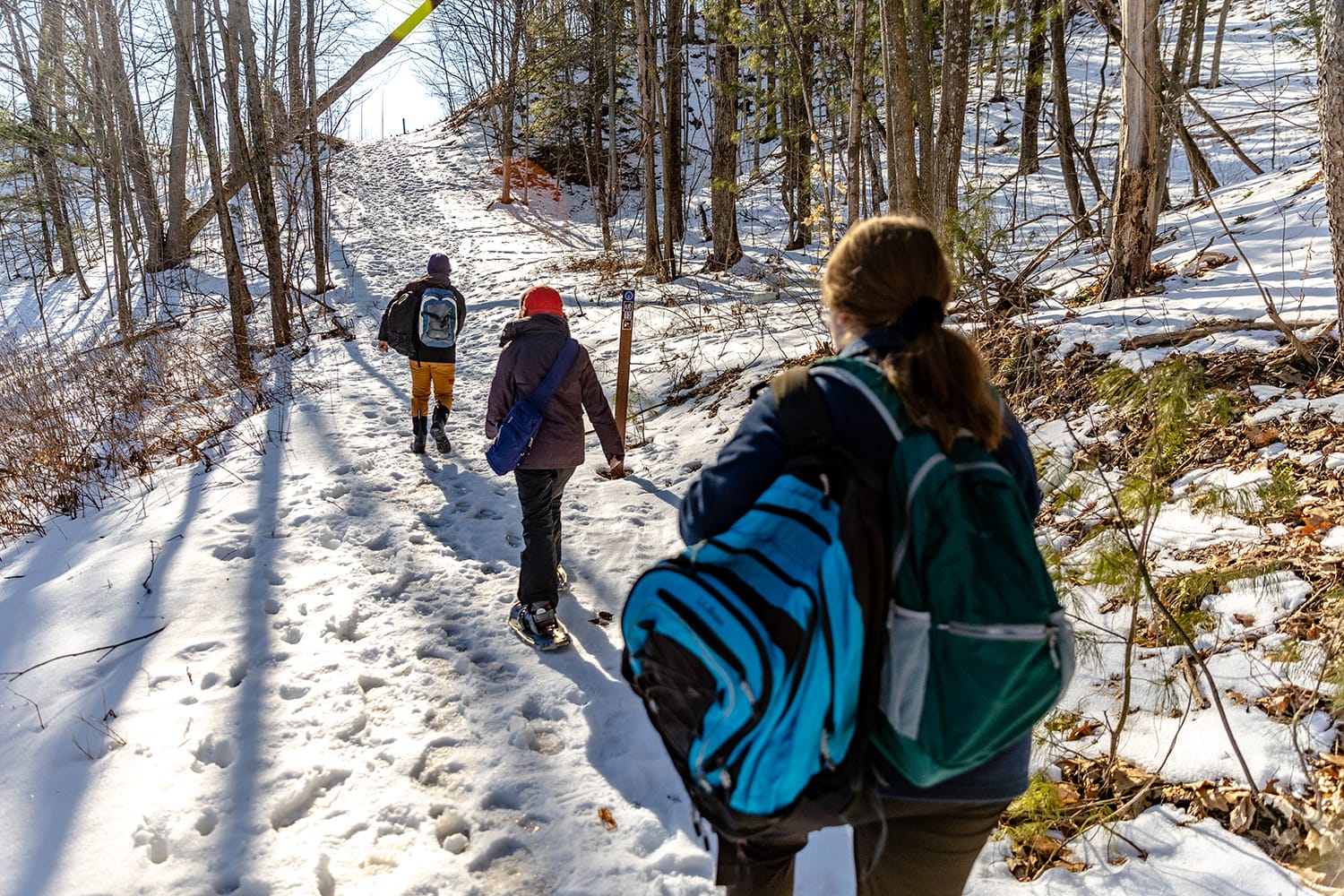 After collecting the cameras, students head back up a snowy hill in the Natural Area on Feb. 13.