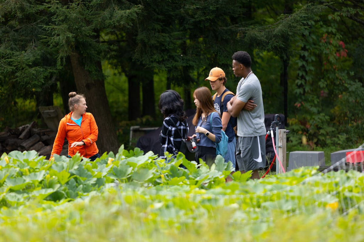 Outdoor class at the farm