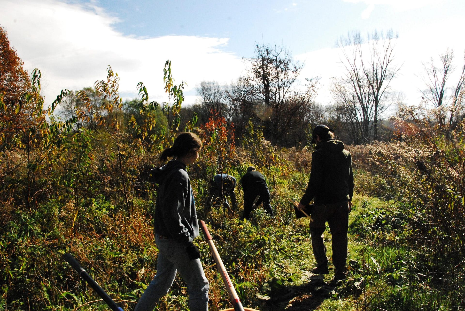 Green Up volunteers maintain the Food Forest in the SMC Natural Area in Nov., 2023.